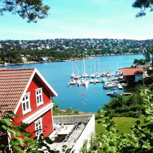 11760070_10153397897311970_4242915609353449122_n