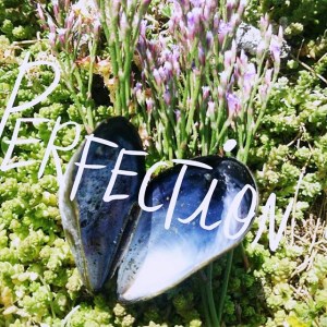 11760153_10153397846591970_7230064040782306505_n