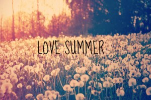day-flowers-love-love-summer-Favim.com-2777269