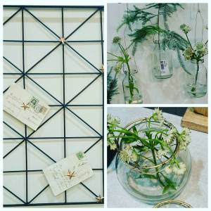 11060266_10153506987756970_4492717209864524718_n