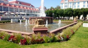 11800086_10153451689866970_1017750886180462711_n