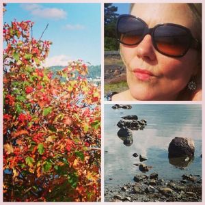 11813336_10153512488561970_1443424322227995976_n