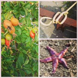 11813384_10153512440326970_4500038255274210554_n