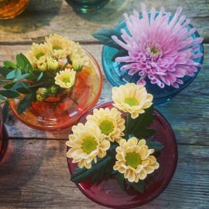 11887911_10153507066191970_2955966597957188581_n