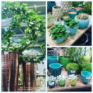 11904083_10153506988216970_4654408924239823462_n