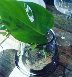 11951750_10153507065971970_8332512767528825742_n