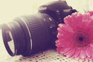 6002380311_7e9f0c5766_b