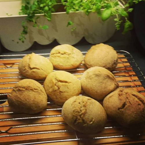 11949272_10153514479801970_4021469202390007459_n