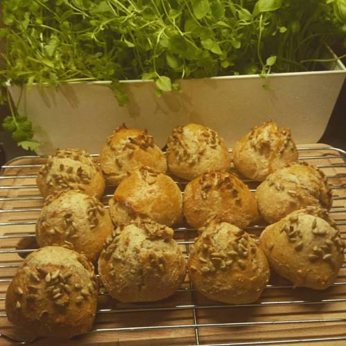 11951842_10153504520841970_8597330600407194786_n