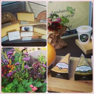 12003282_10153536093611970_7871178377404896362_n