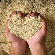 923063_626018970781211_2090771463_n