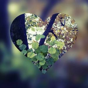 11012127_10153618375966970_7886294539417851607_n