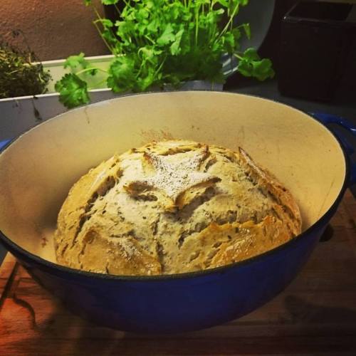 12144779_10153593863306970_3423202912073369777_n