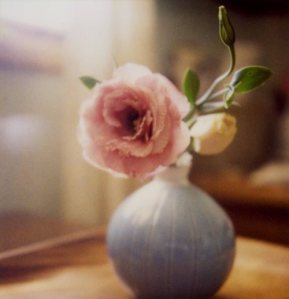 tumblr_kpornlxWZM1qzc2ryo1_500_large