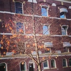 10613093_10153642044691970_1276034248946918102_n