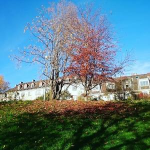 12187812_10153642044831970_2267862941126315980_n