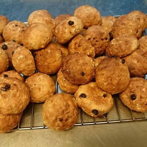 12274226_10153658864916970_6895144097177841356_n