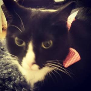 12391048_10153725689921970_8198520765372643903_n