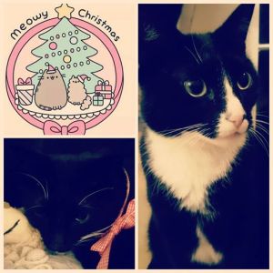 1931369_10153732551836970_2644276135602913691_n