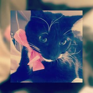 1933832_10153725079791970_3478562686504799788_n