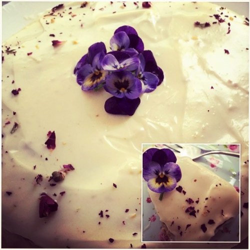 13322109_996165563794581_5262108962894734401_n