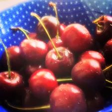 14040196_1057041977706939_5384112341144364166_n