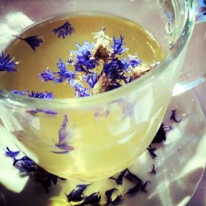 14199190_1064793540265116_2895693805929521180_n