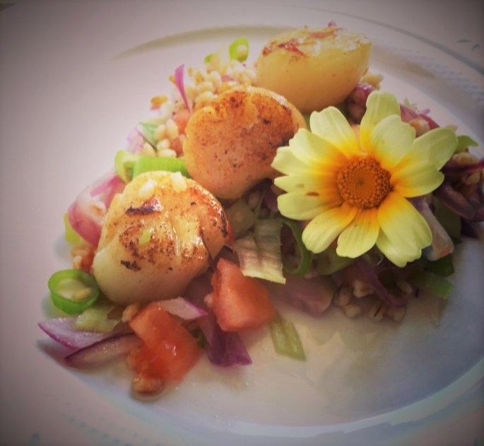 14199242_10154328243656970_4162351276429464006_n