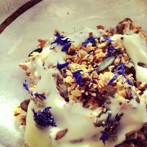 14199605_1064776726933464_4400492692827222029_n