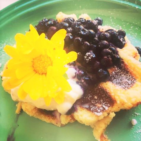 14202645_1065122826898854_3704374444449822511_n