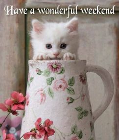 166016-have-a-wonderful-weekend