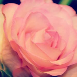 10959774_10153012028096970_1846292161996709400_n