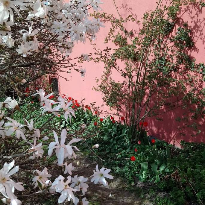 58379253_10156929638451970_552670979990487040_n