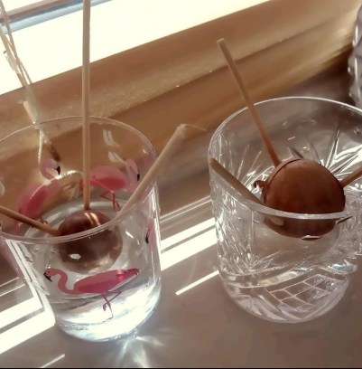 61618004_10157021273551970_6374915190315548672_n